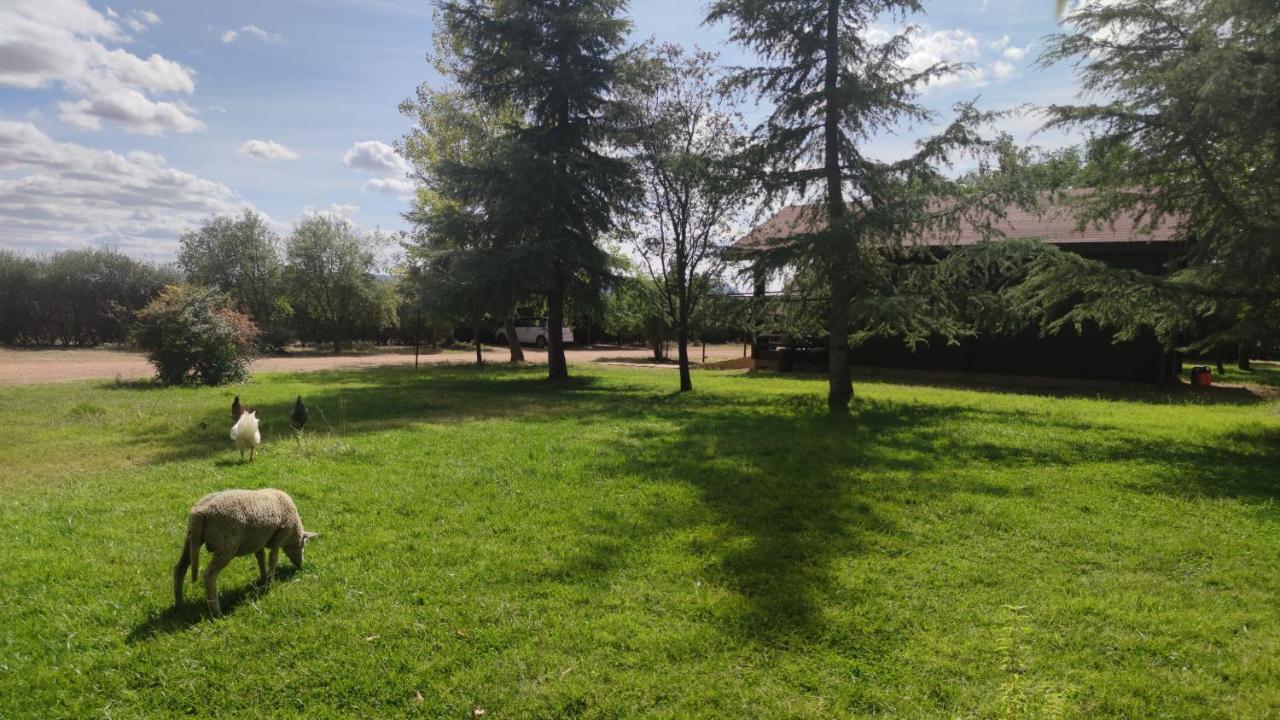 Bauernhof Tabla Honda El Robledo (Ciudad Real)