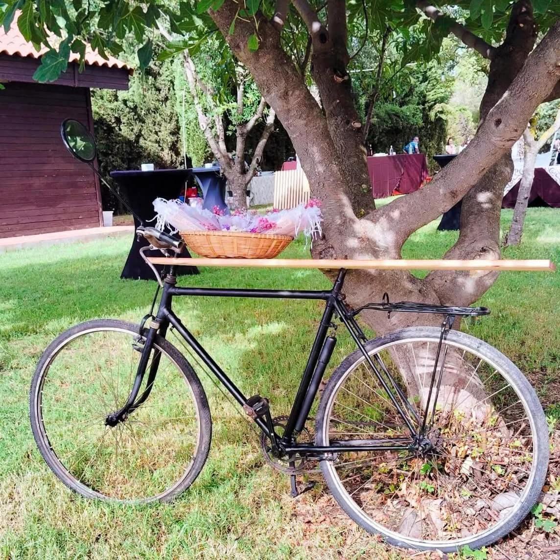 Bauernhof Tabla Honda
